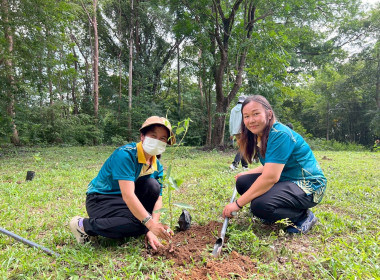 กิจกรรมวันต้นไม้ประจำปีของชาติ พ.ศ. 2568 พารามิเตอร์รูปภาพ 10